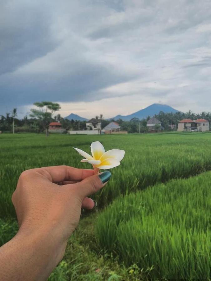 Svaha Ubud Екстер'єр фото